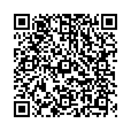 B2B Direct Android APK 下载二维码