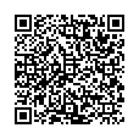 B2B Direct Google Play 下载二维码